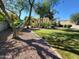 Expansive backyard featuring lush green grass and mature landscaping, perfect for outdoor activities at 4529 S Granite St, Gilbert, AZ 85297