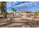 Large dirt backyard with some desert plants and perimeter fencing at 6208 W Willow Ave, Glendale, AZ 85304