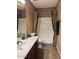 Well-lit bathroom featuring a sink, toilet, shower with curtain and neutral wall color at 7253 E Nathan St, Mesa, AZ 85207