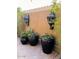 Beautiful courtyard with potted plants and decorative outdoor lighting at 7253 E Nathan St, Mesa, AZ 85207