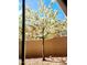 Tranquil backyard featuring a blooming tree and desert landscaping at 8928 E Wethersfield Rd, Scottsdale, AZ 85260