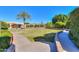 Expansive backyard lawn, tall palms, and brick-lined walkway enhance this home's outdoor appeal at 1520 E Elmwood Cir, Mesa, AZ 85203