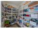 Spacious pantry featuring floor-to-ceiling shelving, perfect for organized storage of food and household items at 1520 E Elmwood Cir, Mesa, AZ 85203