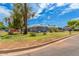 Exterior shot of a well-maintained single-story home with lush landscaping and mature trees on a sunny day at 2441 E Edgemont Ave, Phoenix, AZ 85008