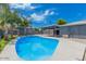 The backyard features a private pool, covered patio area and privacy landscaping at 2441 E Edgemont Ave, Phoenix, AZ 85008