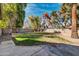 Large backyard with mature trees, block fence, and an expansive grassy area, perfect for outdoor activities at 62 W Secretariat Dr, Tempe, AZ 85284