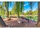 Tranquil park scene with benches facing a serene pond, surrounded by mature trees, inviting relaxation and scenic enjoyment at 2966 S Country Club Way, Tempe, AZ 85282