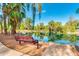 Idyllic pond view with park bench and lush trees, creating a relaxing and scenic spot for community enjoyment and contemplation at 2966 S Country Club Way, Tempe, AZ 85282