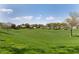 Green open space and trees in a community at 3062 E Cullumber St, Gilbert, AZ 85234