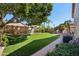 This spacious backyard has a custom BBQ, covered patio, and beautiful landscaping at 5102 E Libby St, Scottsdale, AZ 85254