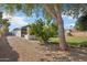 Exterior backyard view showcasing a covered patio, lush lawn, and mature tree providing ample shade at 5704 E Estrid Ave, Scottsdale, AZ 85254