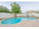 Inviting pool area providing a peaceful escape surrounded by lush greenery and landscaping at 62 N Amber Ct, Chandler, AZ 85225