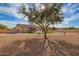 Wide shot of the backyard showing lush landscaping and desert views at 730 E Tanya Trl, Phoenix, AZ 85086