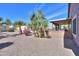 Beautifully landscaped backyard features desert landscaping and palm trees at 123 S Lucia Ln, Casa Grande, AZ 85194