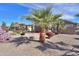 Desert landscaping and mature palm trees create a private backyard oasis at 123 S Lucia Ln, Casa Grande, AZ 85194