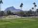 Picturesque community park with palm trees, grassy lawns, and distant mountain views at 15865 E Lost Hills Dr, Fountain Hills, AZ 85268