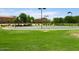 Community basketball court with multiple hoops and plenty of surrounding green space at 1994 E Dust Devil Dr, San Tan Valley, AZ 85143