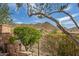 Landscaped backyard featuring desert plants and a view of the surrounding mountains at 42211 N Long Cove Way, Anthem, AZ 85086