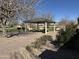 Neighborhood picnic area featuring barbecue grills and ample seating beneath a sheltered pergola at 20729 E Canary Way, Queen Creek, AZ 85142