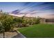 Well-maintained backyard featuring lush green grass and mature landscaping at 24441 N 142Nd Dr, Surprise, AZ 85387