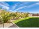 Green backyard with manicured lawn, ideal for outdoor activities and enjoying the beautiful scenery at 24441 N 142Nd Dr, Surprise, AZ 85387