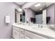 Well-lit bathroom with a double vanity, large mirror, and a skylight at 25261 S Berry Brook Dr, Sun Lakes, AZ 85248
