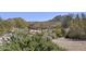 Lush desert landscape featuring diverse plants, shrubs, and the natural beauty of the desert at 27000 N Alma School Pkwy # 1024, Scottsdale, AZ 85262