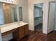 Bright bathroom with a single vanity, shower, and walk-in closet at 6531 W Hess S St, Phoenix, AZ 85043