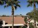 Community rooftops seen through palm trees with mountain scenery beyond at 1302 E Tierra Buena Ln, Phoenix, AZ 85022