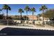 Scenic pool view with swaying palm trees and clear blue sky backdrop at 1302 E Tierra Buena Ln, Phoenix, AZ 85022