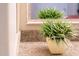 Bathroom vanity with granite countertop and green plant at 13434 W El Sueno Ct, Sun City West, AZ 85375