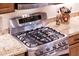 Stainless steel gas range stove with granite countertop at 13434 W El Sueno Ct, Sun City West, AZ 85375