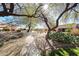A view of the community, sidewalk and desert landscaping between houses with a clear, sunny sky at 19427 N 84Th Ave, Peoria, AZ 85382