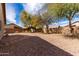 Spacious backyard featuring gravel, well-maintained landscaping, and mature shade trees at 2 E Coral Bean Dr, San Tan Valley, AZ 85143