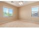 Bright bedroom featuring neutral walls, beige carpet, and a ceiling fan, bathed in natural light from two windows at 2453 E Ebony Dr, Chandler, AZ 85286