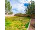 Large backyard with lush grass, mature trees, and a block fence, offering privacy at 3227 E Enid Ave, Mesa, AZ 85204