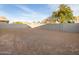 Expansive dirt backyard space with a block fence and a mature tree in the background at 3598 E Alexander Dr, San Tan Valley, AZ 85143
