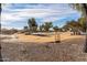 Scenic community park featuring a well-maintained open space, walking trails, basketball court, and lush landscaping with mature trees at 44922 W Alamendras St, Maricopa, AZ 85139