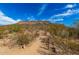 Dust hiking trail winding through desert landscape, with mountain views and signage indicating direction, offering a natural experience at 5523 W Yearling Rd, Phoenix, AZ 85083