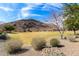 Expansive open space featuring a large grassy area, desert landscaping, and a mountain backdrop, ideal for recreation at 5523 W Yearling Rd, Phoenix, AZ 85083
