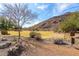 Expansive open space featuring a large grassy area, desert landscaping, and a mountain backdrop, ideal for recreation at 5523 W Yearling Rd, Phoenix, AZ 85083