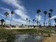 Picturesque community featuring a pond, golf course, and palm trees under a blue sky at 6161 S Pinehurst Dr, Chandler, AZ 85249