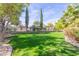 Expansive backyard features a lush lawn and mature landscaping at 6576 W Lone Cactus Dr, Glendale, AZ 85308