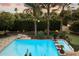 Aerial view of a backyard pool with fountain feature, lounge chairs, and lush landscaping at 8306 N Merion Way, Paradise Valley, AZ 85253