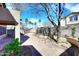 Backyard featuring a decorative brick pathway, a tree, and a partial wall at 1293 E Clifton Ave, Gilbert, AZ 85295