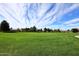 Expansive community green space with lush grass and mature trees, perfect for recreation at 1293 E Clifton Ave, Gilbert, AZ 85295