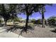 Community playground with play equipment, covered picnic area, and mature shade trees at 1783 W Homestead Dr, Chandler, AZ 85286