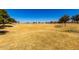 View of the expansive community park, featuring a vast lawn area perfect for outdoor activities at 36579 W Barcelona Ln, Maricopa, AZ 85138
