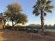 Spacious backyard featuring lush greenery, mature trees, and landscape at 5335 E Shea Blvd # 2102, Scottsdale, AZ 85254