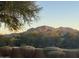 Scenic backyard with lush landscaping, trees and mountain views at 5335 E Shea Blvd # 2102, Scottsdale, AZ 85254